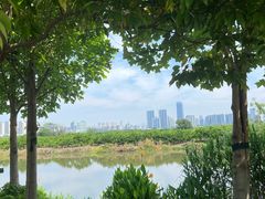 -三垟湿地