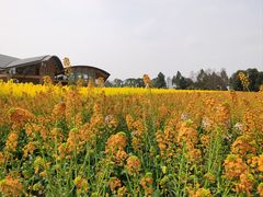 -中国天府农业博览园