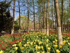 -石家庄市植物园