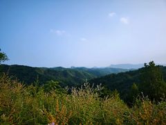 -磬锤峰森林公园