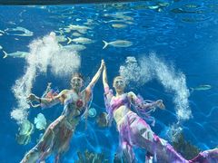 -海合安武汉极地海洋公园