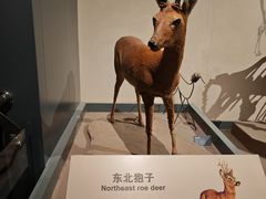 -大庆市博物馆