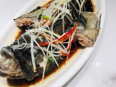 广式清蒸石斑鱼-澄记狮头鹅安粮店