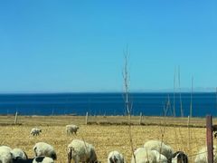 -青海湖国家重点风景名胜区