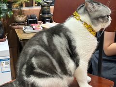 -百金通黄金回收首饰定制维修(珠江路总部)