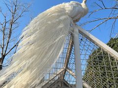 -J Create城市露营咖啡·简餐·宠物(上海动物园店)