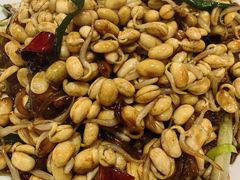 细粉豆芽-老牌坊鲁菜名店(聊城美食岛店)