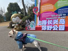 -上海长兴岛郊野公园