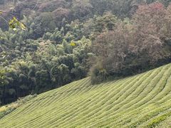 -敬亭山风景名胜区