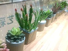 -艺彩阳光手工坊(大连恒隆广场店)