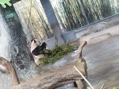 -海南热带野生动植物园