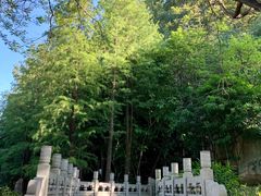 -顺峰山公园