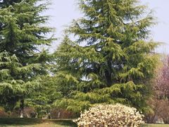 -洨河生态公园