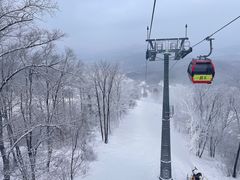 -中旅松花湖滑雪场