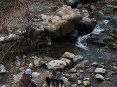 -MOJ coffee(瓯海泽雅水碓坑店)