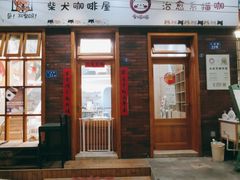 -是阿柴呀！柴犬咖啡·爱喵喵猫咖