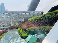 -东方明珠·可口可乐欢乐餐厅