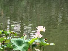 -莲池书院博物馆