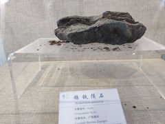 -延庆地质公园博物馆