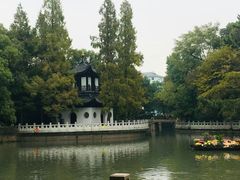 -汇龙潭