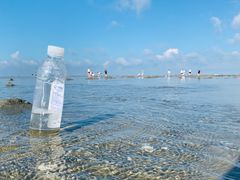 -北海金海湾红树林生态旅游区