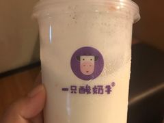 -一只酸奶牛(八一路店)