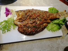 -小杨烤肉(高新店)