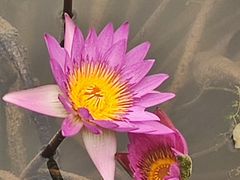 -露天矿生态公园