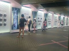 -乐天免税店(明洞店)