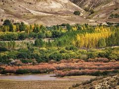 -塞罕坝国家级自然保护区