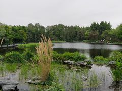 -海珠湖公园