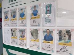 -瑞派先诺宠物医院•猫专科•普外科•中兽医(佛山院)