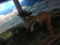 -吉林省自然博物馆