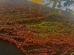 -成都许燎源现代设计艺术博物馆