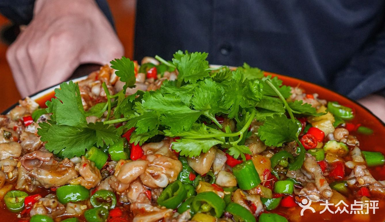 梧桐树下一个人也要吃饱饭！