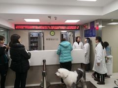 -申普宠物医院·心脏介入·心血管微创(总院)