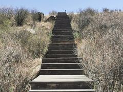 -白草畔自然风景区