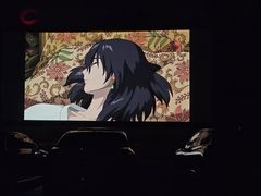 -枫花园汽车电影院(朝阳公园店)