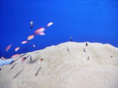 -广州海洋馆