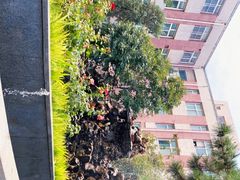 -首都医科大学附属北京友谊医院(西城院区)