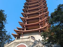 -缙云山景区