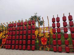 -西青郊野公园