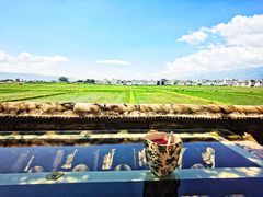 -喜林苑·稻田餐厅(品相府店)
