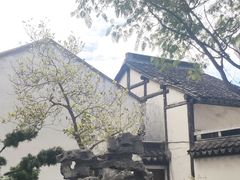 -檀园