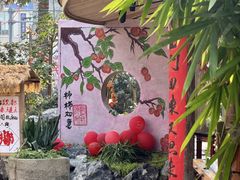 -田园印象·成都土菜院子(华阳店)
