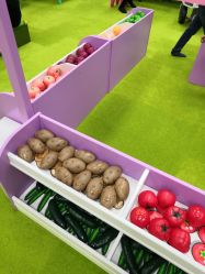 -莫莉幻想儿童乐园(郑州丹尼斯三天地店)