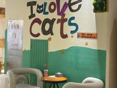 -藏猫猫咖啡主题馆(中央大道店)