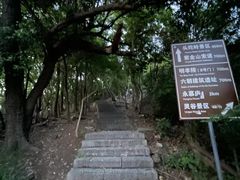-紫金山山顶公园