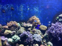 -珠海长隆海洋王国