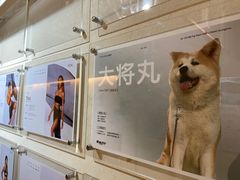 -YCHL Studios健身工作室(市二宫店)
